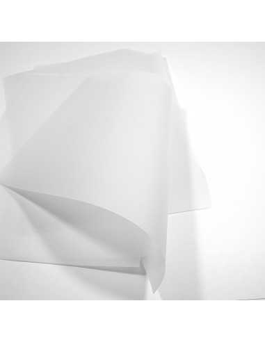 Golden Star Tracing Paper 100g Extra White 70x100 R250