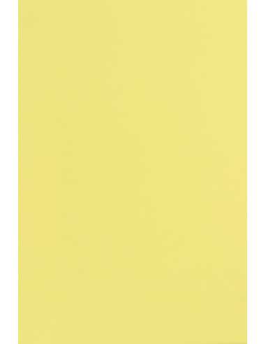 Popset Decorative Paper Dry toner 240g Citrus Yellow 10A4
