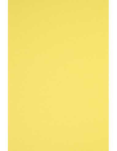 Rainbow Paper 230g R16 Yellow Pack of 10 A5