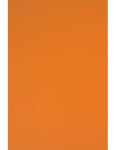 Rainbow Paper 230g R24 Orange Pack of 10 A5