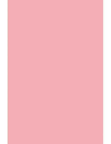Rainbow Paper 230g R55 Pink Pack of 10 A5