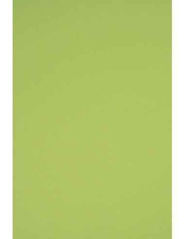 Rainbow Paper 230g R74 Light Green Pack of 10 A5