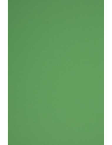 Rainbow Paper 230g R78 Green Pack of 10 A5