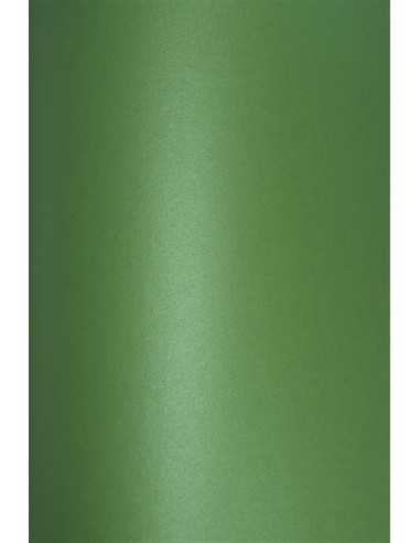 Aster Metallic 280gsm paper Christmas Green 72x100 R125