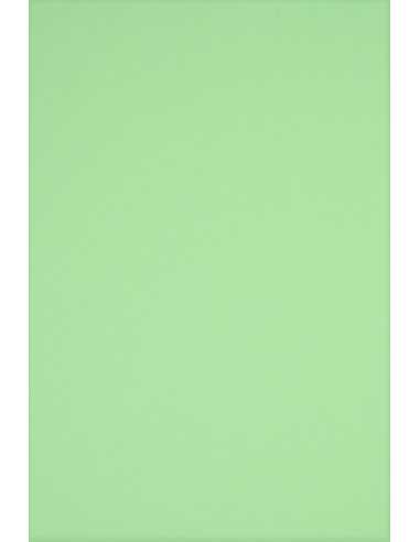 Rainbow Decorative Smooth Colourful Paper 230g R75 Mint pack of 10A3