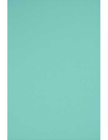 Rainbow Decorative Smooth Colourful Paper 230g R84 Sea Green pack of 10A3
