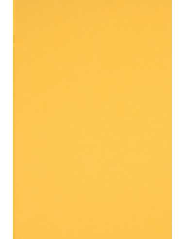 Rainbow Paper 160g R18 Dark Yellow 45x64 Pack of 10