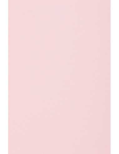 Rainbow Paper 160g R54 Light Pink 45x64 Pack of 10