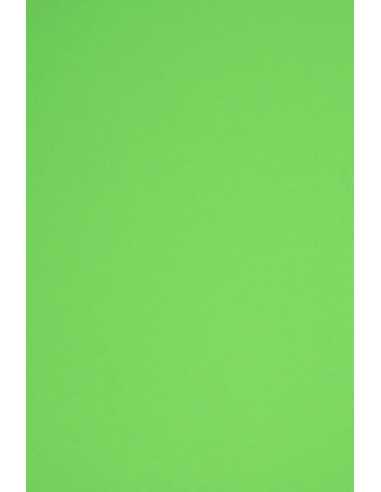 Rainbow Paper 160g R76 Green 45x64 Pack of 10