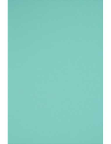 Rainbow Paper 160g R84 Sea Green 45x64 Pack of 10