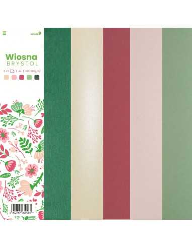 Set of coloured bristol boards Spring pack. 25 A4 sheets
