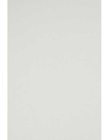 Rainbow Paper 160g R93 Light Grey 92x65 R125