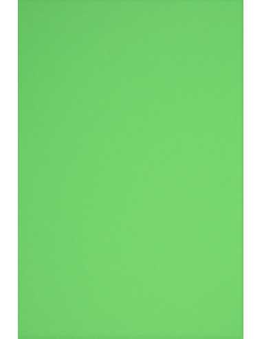 Rainbow Paper 230g R76 Green Pack of 10 A3