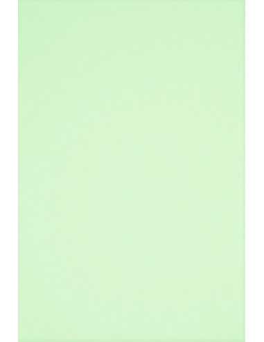 Rainbow Paper 80g R72 Light Green 500 A4