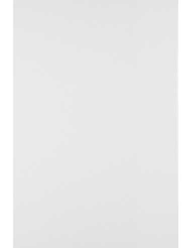 White Offset paper 250gsm 43x61 Pack of 25sheets
