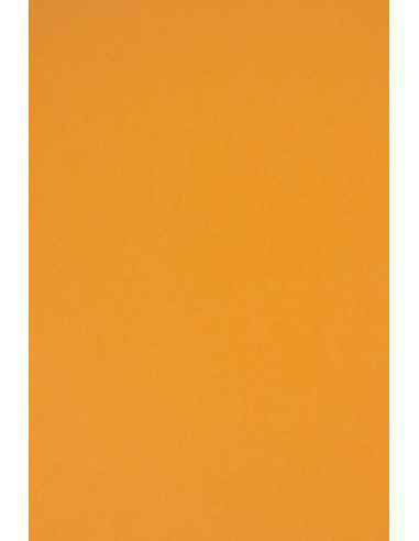 Rainbow decorative plain coloured paper 230gsm R22 light orange 70x100 R125