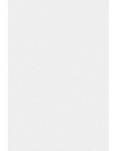 Tintoretto decorative textured coloured paper 300gsm Gesso white 10A4psc