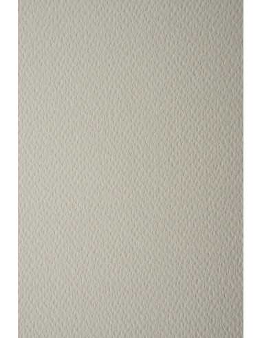 Prisma Decorative Textured Paper 220g Grigio light grey pack of 10A5