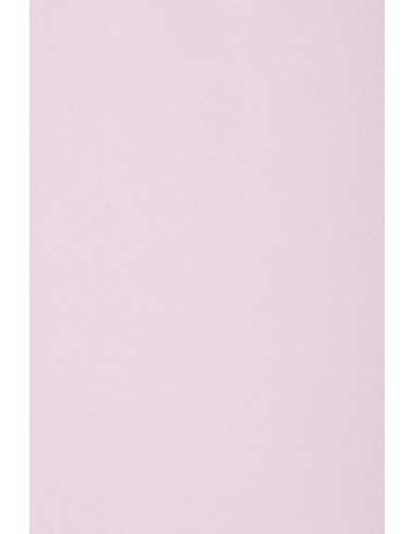 Decorative plain coloured ecological paper Circolor 160g Peony lilac Pack of 25 A4