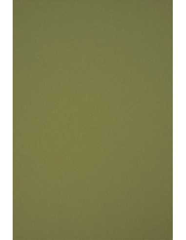 Decorative plain coloured ecological paper Circolor 160g Rosemary green Pack of 250 A4