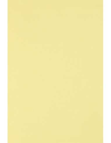 Decorative plain coloured ecological paper Circolor 160g Camomile light yellow Pack of 250 A4