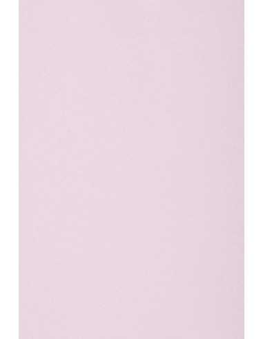 Decorative plain coloured ecological paper Circolor 80g Peony lilac Pack of 500 A4