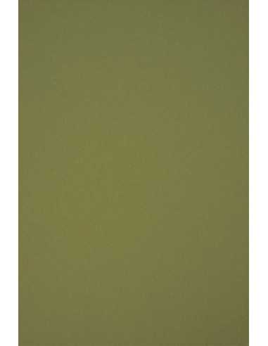 Decorative plain coloured ecological paper Circolor 80g Rosemary green Pack of 50 A4