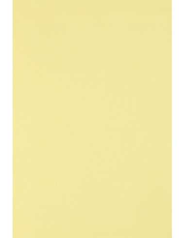 Decorative plain coloured ecological paper Circolor 80g Camomile light yellow Pack of 500 A4