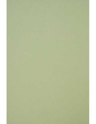 Decorative plain coloured ecological paper Crush 250g Kiwi green Pack of 10 A4