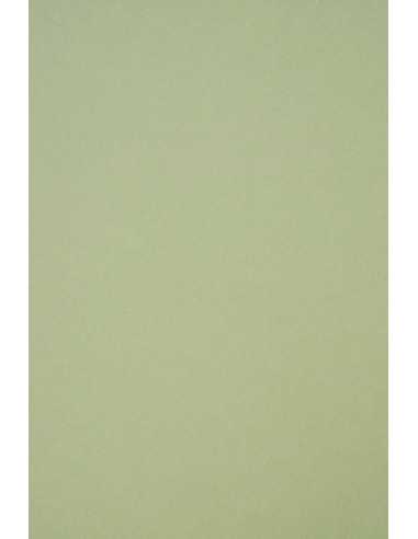 Decorative plain coloured ecological paper Crush 250g Kiwi light green Pack of 50 A4