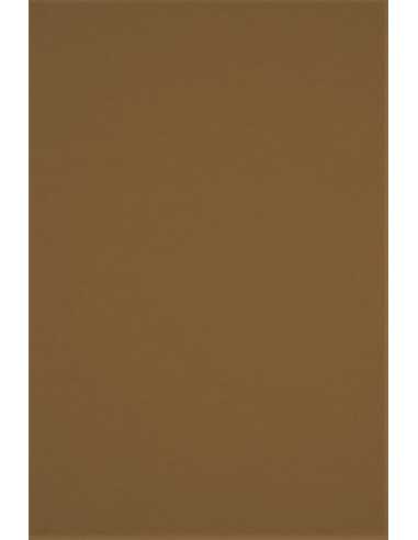 Decorative plain coloured ecological paper Crush 250g Hazelnut brown Pack of 10 A4