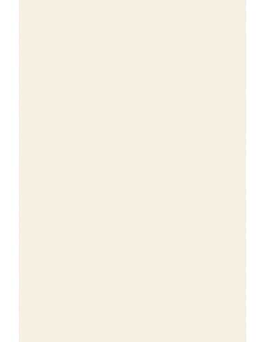Stucco Old Mill decorative paper 150gsm Gesso White Pack of 10 A5