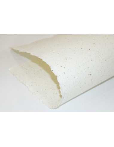 Decorative handmade paper with growing seeds 180gsm 65x68cm R100