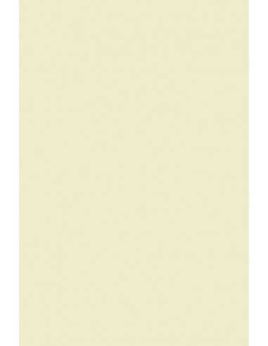 Olin decorative plain smooth paper 240gsm Regular Soft Cream ecru 72x102 R125