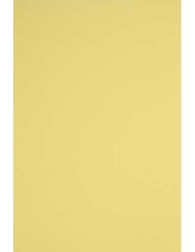 Rainbow Paper 160g R18 Sun Yellow 92x65