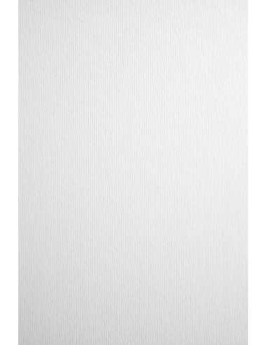 Nettuno Textured Paper 360g Bianco Artico white 72x101