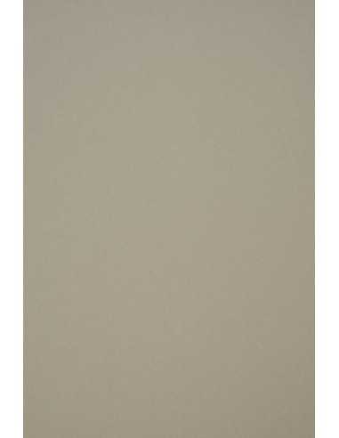 Materica plain coloured ecological decorative paper Clay grey 120gsm 72x102 R200