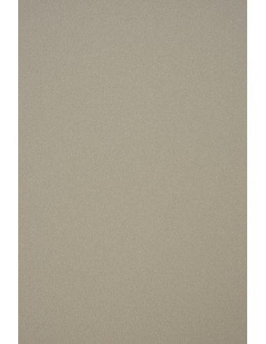 Materica plain coloured ecological decorative paper Clay grey 250gsm 72x102 R100