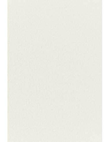 Tintoretto decorative textured coloured paper 300gsm Neve ecru 72x101 R100