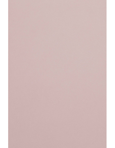 Malmero decorative plain coloured paper Rose Antique 120gsm powder pink 70x100 R250