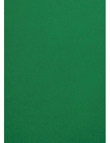 Malmero decorative plain coloured paper Amazone dark green 120gsm 70x100 R250