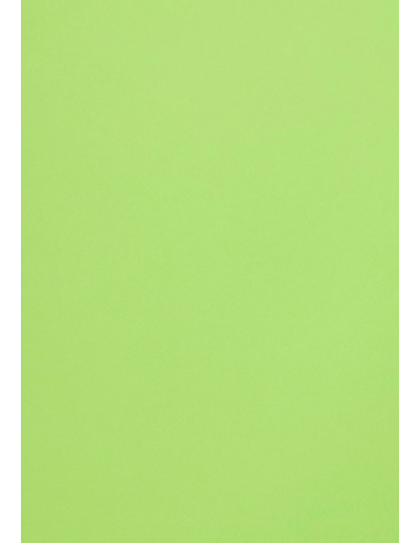 Malmero decorative plain coloured paper Bambou green 120gsm 70x100 R250