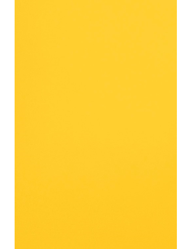 Malmero decorative plain coloured paper Mangue light orange 120gsm 70x100 R250