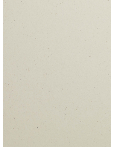 Flora decorative plain coloured ecological paper with inclusions 240gsm Noce beige 72x102 R125