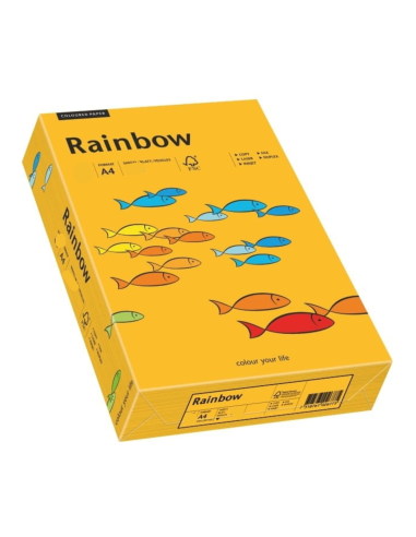 Rainbow decorative plain coloured paper 80gsm R22 light orange 500A4pcs.