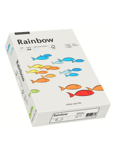 Rainbow decorative plain coloured paper 160gsm R93 light grey 250A4 pcs