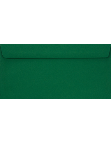 Colorful decorative envelope DL 11x22 HK Sirio Color Foglia green 115g