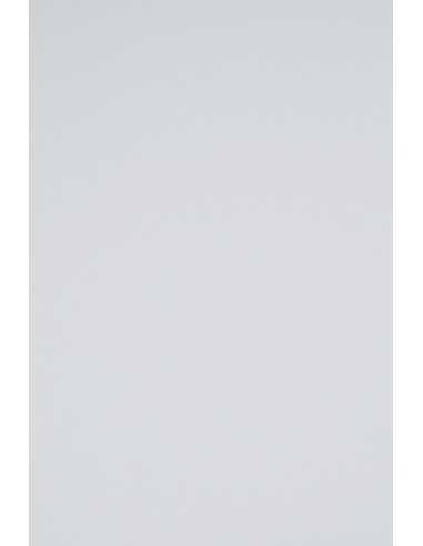 Rainbow Decorative Smooth Colourful Paper 230g R96 Grey pack of 10A3