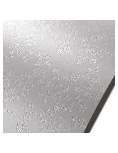 AstroSilver Paper 220g Forfalle 149 71x101