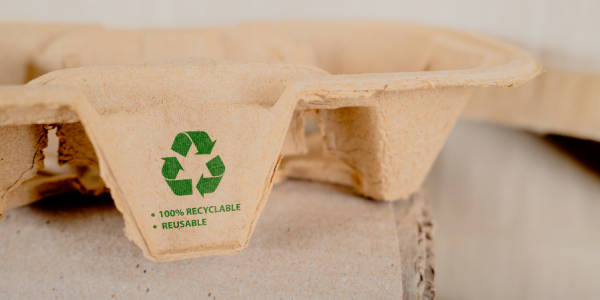 Green paper - why invest in environmentally friendly products?